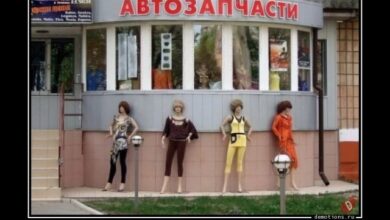 Photo of Демотиваторы в середине недели: «Автозапчасти…» (17 фото)