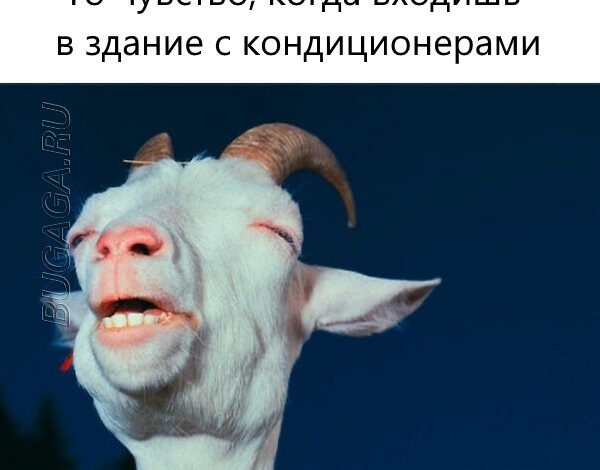 Photo of Мемы, шутки и приколы про лето, ах, лето… (16 фото)