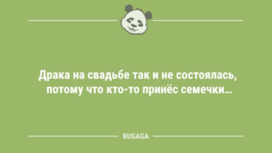 Photo of Смешные анекдоты для всех: «Драка на свадьбе так и не состоялась…» (10 шт)