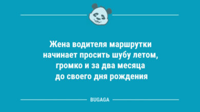 Photo of Свежие анекдоты: «Жена водителя маршрутки…» (12 шт)