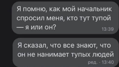 Photo of Весёлые картинки перед пятницей: «Я помню, как мой начальник…» (23 фото)