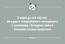 Photo of Свежих анекдотов пост: «В мире до сих пор нет ни одного…» (12 шт)