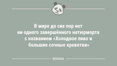 Photo of Свежих анекдотов пост: «В мире до сих пор нет ни одного…» (12 шт)