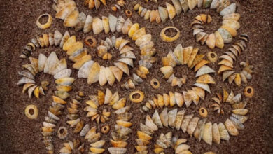 Photo of Природа в идеальном порядке: художник создаёт завораживающее искусство из камней и листьев (26 фото)