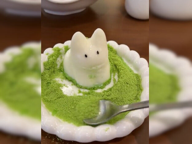 Photo of «Он уже наелся!»