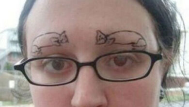 Photo of Когда боль — не от процесса, а от результата (18 фото)