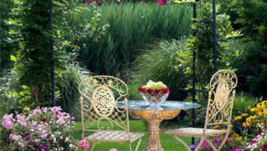 Photo of Цветочный рай: самые красивые сады мира в одном месте (28 фото)