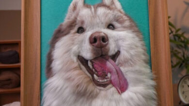 Photo of Войлочные питомцы, которые выглядят настолько реалистично, что заставляют усомниться, живые они или нет (24 фото)