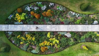 Photo of Повседневная жизнь планеты с высоты (18 фото)