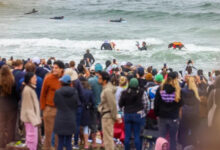 Photo of В Калифорнии прошёл ежегодный Чемпионат мира по сёрфингу среди собак (13 фото)