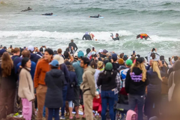 Photo of В Калифорнии прошёл ежегодный Чемпионат мира по сёрфингу среди собак (13 фото)