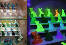 Photo of Уникальные и странные коллекции (18 фото)