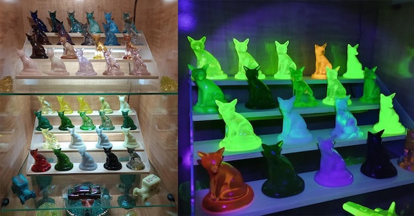 Photo of Уникальные и странные коллекции (18 фото)