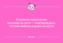 Photo of Анекдоты