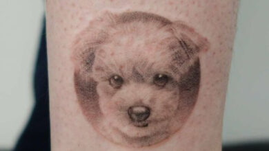 Photo of Южнокорейский тату