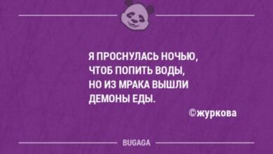 Photo of Забавные фразы в картинках с надписями. Часть 38 (20 шт)