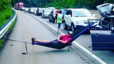 Photo of Весёлые картинки в понедельник: «Ты обиделась?» (34 фото)