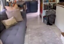 Photo of Квартира на колёсах (3 фото + видео)