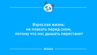 Photo of Анекдотов пост: «Взрослая жизнь…» (11 фото)
