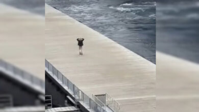 Photo of А если бы успел?..