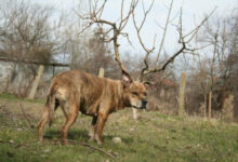 Photo of Оказалось, показалось: игра для внимательных глаз (17 фото)