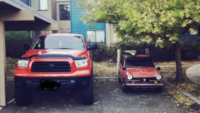 Photo of Прикольные картинки: «Не жди, пока будет 16:30…» (29 фото)