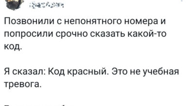 Photo of Прикольные твиты: «Позвонили с непонятного номера…» (22 фото)