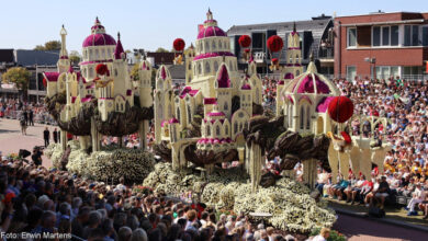 Photo of Парад цветов в Зюндерте: живые скульптуры из миллионов георгинов (20 фото + видео)