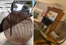 Photo of Идеальные находки у обочины (18 фото)