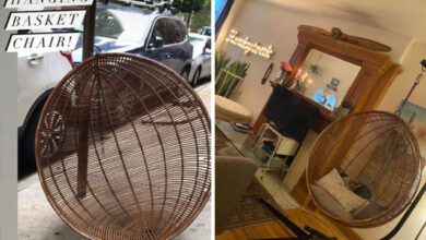 Photo of Идеальные находки у обочины (18 фото)