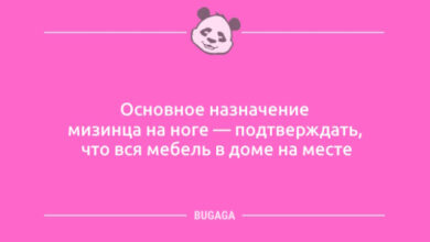 Photo of Анекдоты