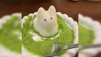 Photo of «Он уже наелся!»