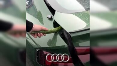 Photo of «Лексус» — лапочка, «ГАЗ» — беспринципная гильотина на четырёх колёсах