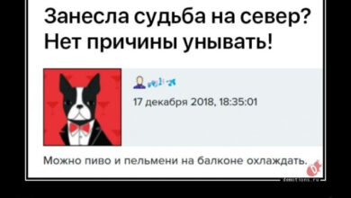 Photo of Демотиваторы дня: «Всегда ищи светлую сторону!» (14 фото)