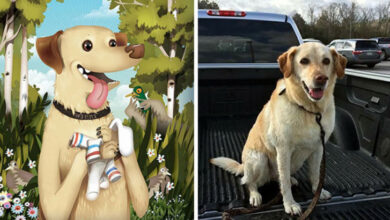 Photo of Питомцы глазами тех, кто любит их больше всех (29 фото)