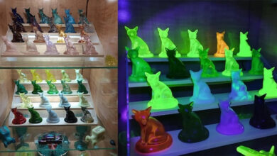 Photo of Уникальные и странные коллекции (18 фото)