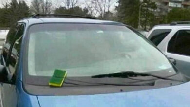 Photo of Работает же! (24 фото)