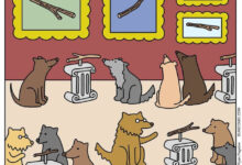 Photo of Комиксы, которые заканчиваются совсем не так, как ожидаешь (15 шт)