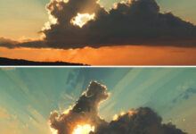 Photo of Там, где реальность нашёптывает сказки (14 фото)