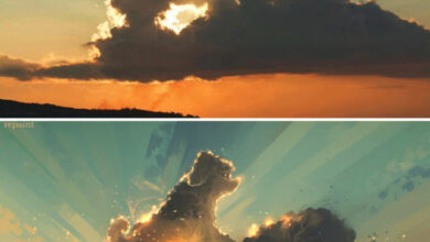 Photo of Там, где реальность нашёптывает сказки (14 фото)