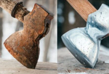 Photo of До и после: магия чистоты (16 фото)