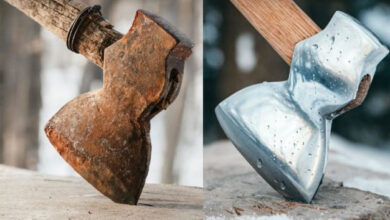 Photo of До и после: магия чистоты (16 фото)