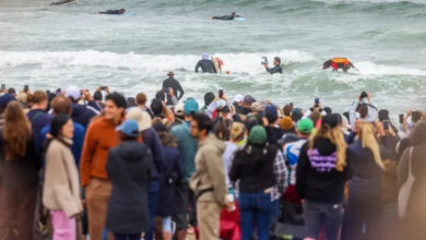 Photo of В Калифорнии прошёл ежегодный Чемпионат мира по сёрфингу среди собак (13 фото)